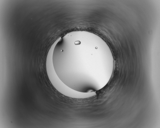 X0000093451298200711091505