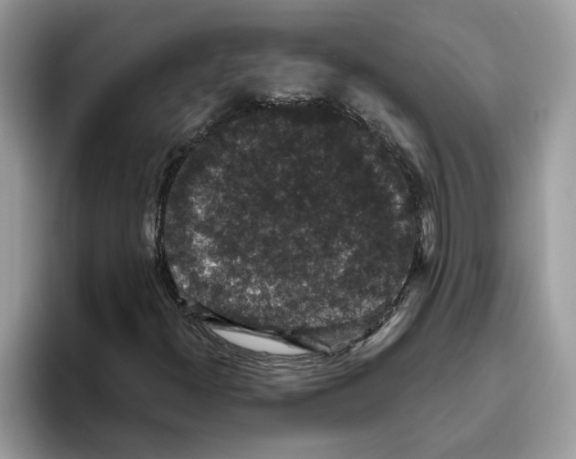 X0000093451300200711091505