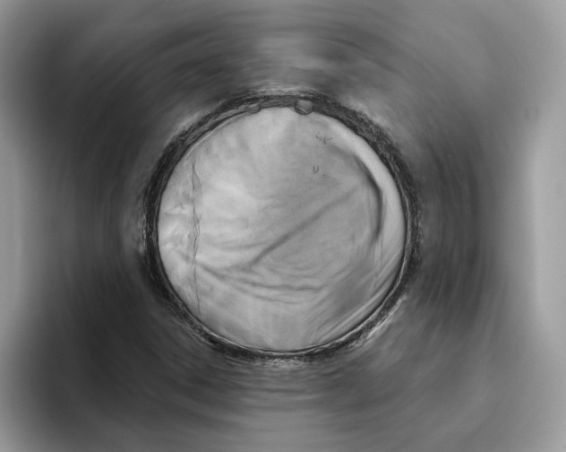 X0000093451306200711091505