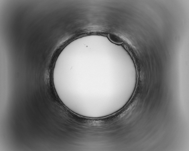 X0000093451309200711091505