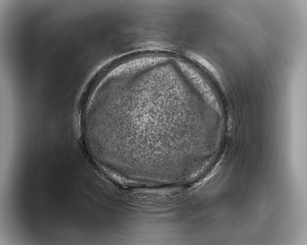 X0000093451310200711091505