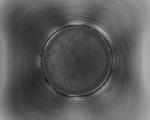 X0000093451329200711091505