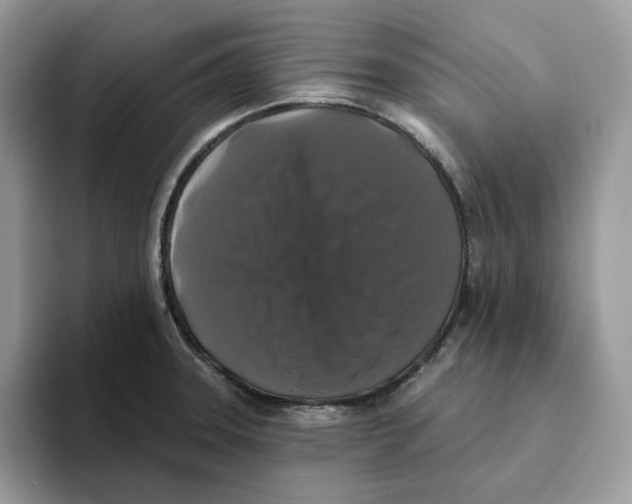 X0000093451331200711091505