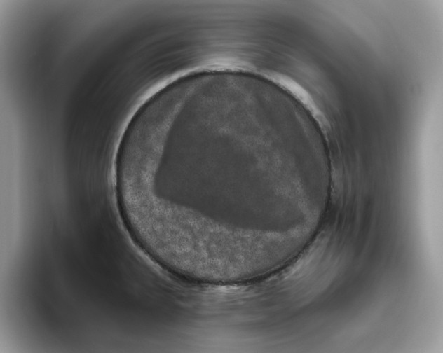 X0000093451335200711091505