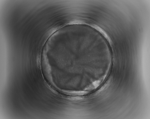 X0000093451337200711091505