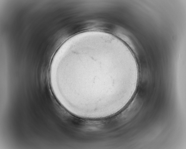 X0000093451338200711091505