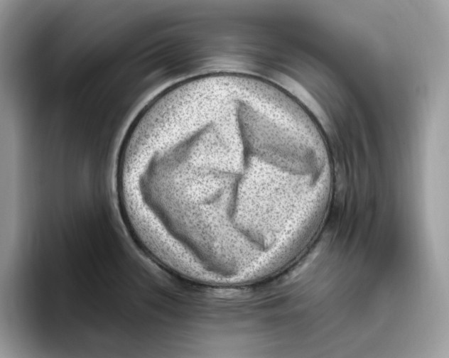 X0000093451339200711091505