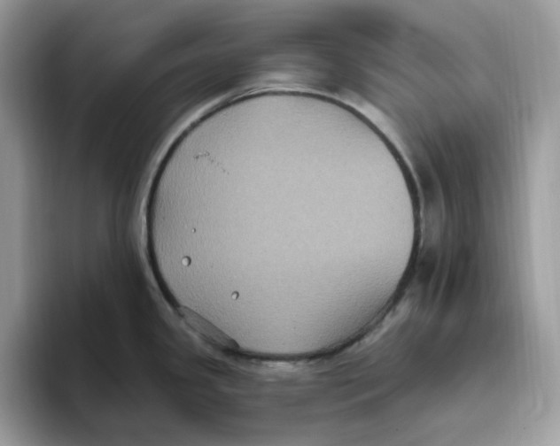 X0000093451341200711091505