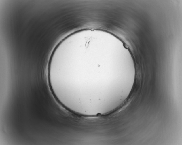 X0000093451343200711091505