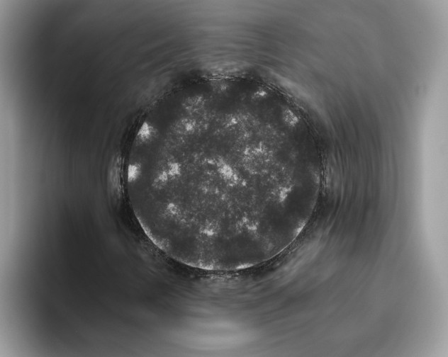 X0000093451346200711091505