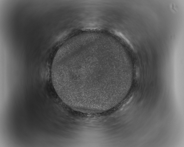 X0000093451350200711091505