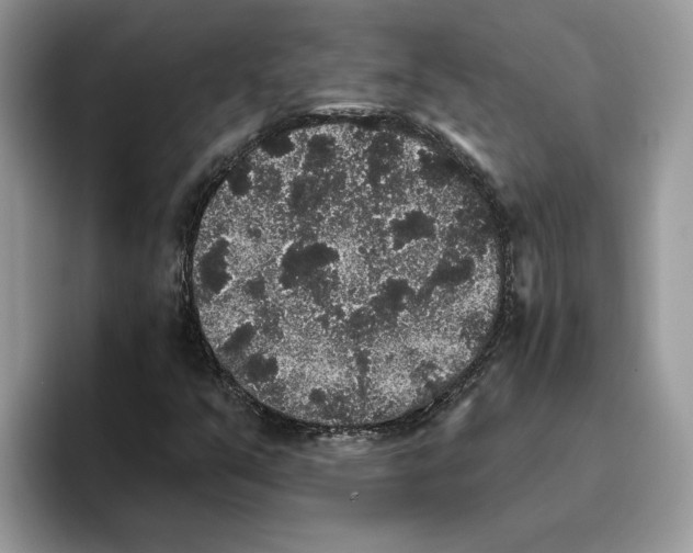 X0000093451351200711091505