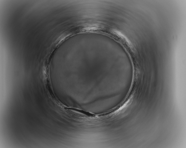 X0000093451353200711091505