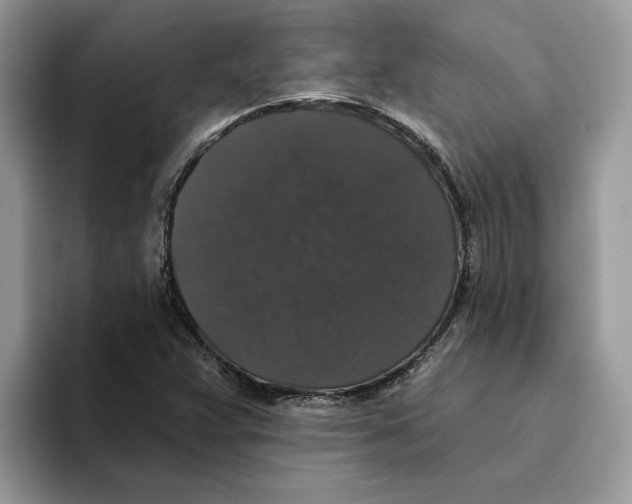 X0000093451359200711091505