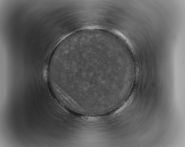 X0000093451361200711091505