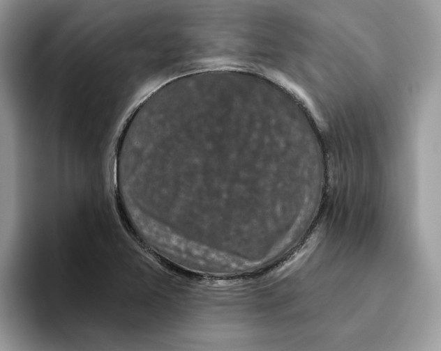 X0000093451365200711091505