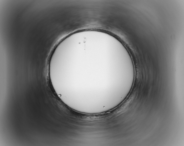 X0000093451366200711091505