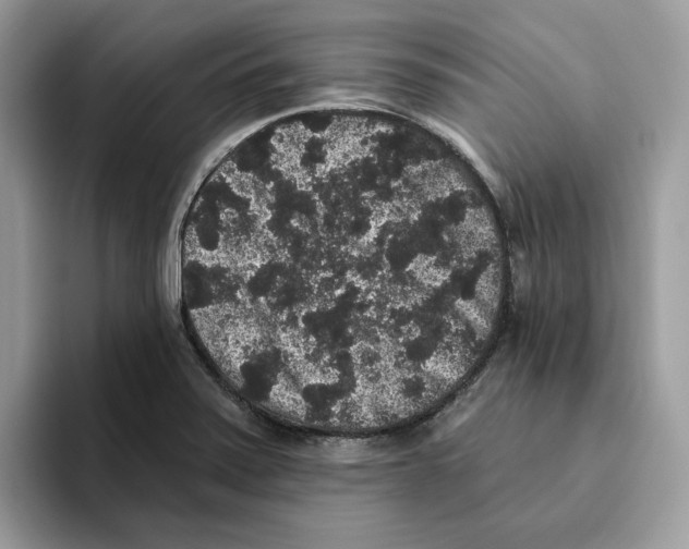 X0000093451371200711091504