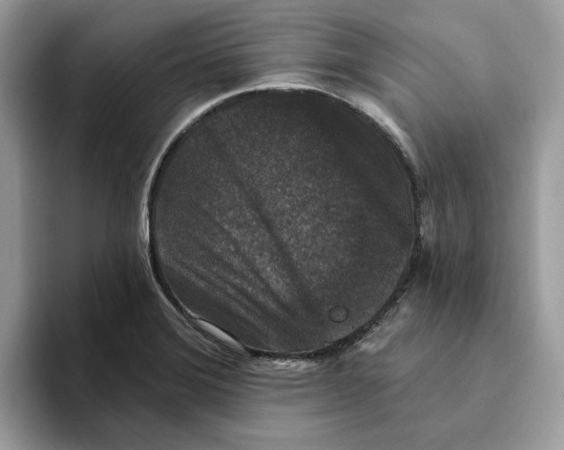 X0000093451372200711091504