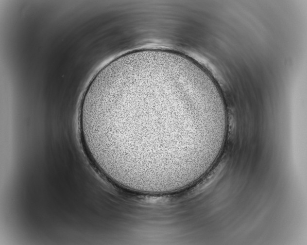 X0000093451375200711091504