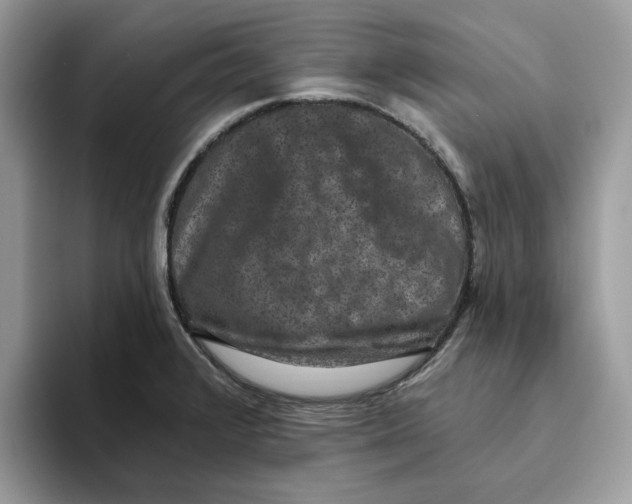 X0000093451376200711091504