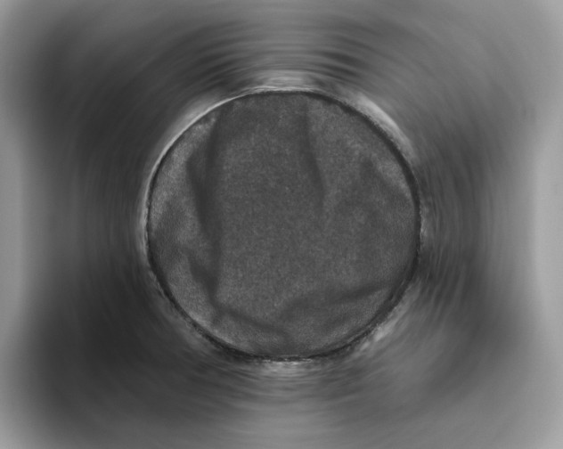 X0000093451378200711091504