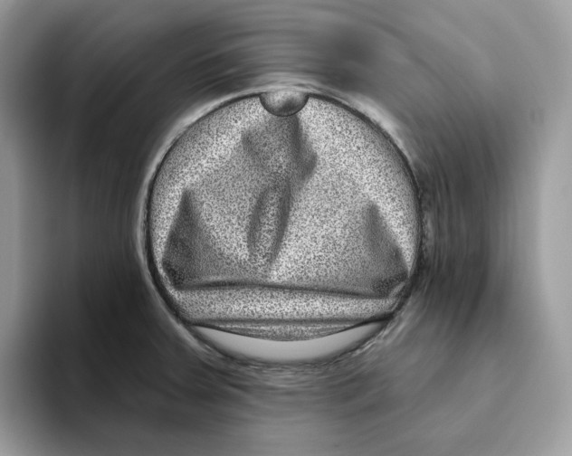 X0000093451379200711091504