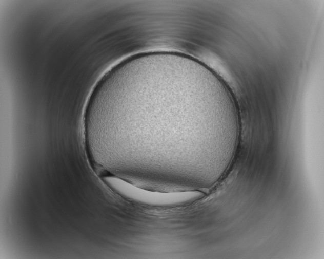 X0000093451380200711091504