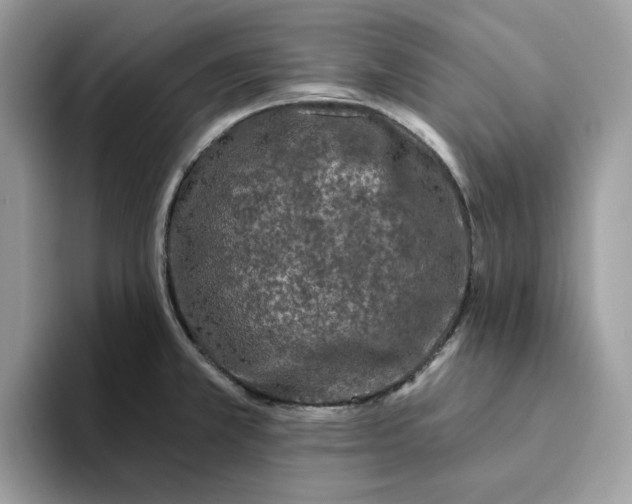 X0000093451381200711091504