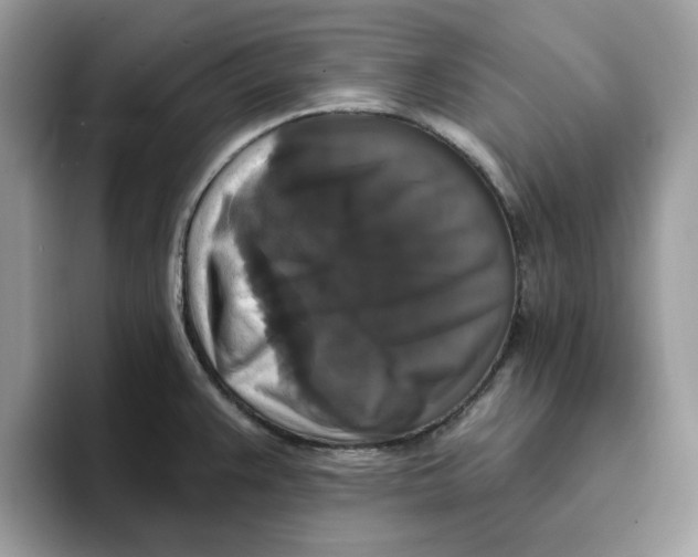 X0000093451383200711091504