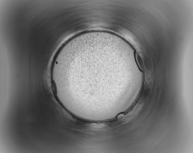 X0000093451384200711091504