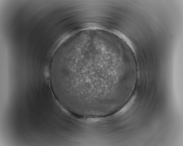 X0000093451385200711091504