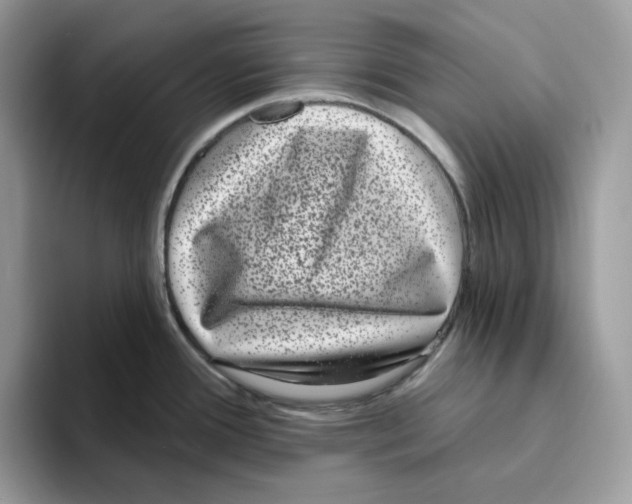 X0000093451388200711091504