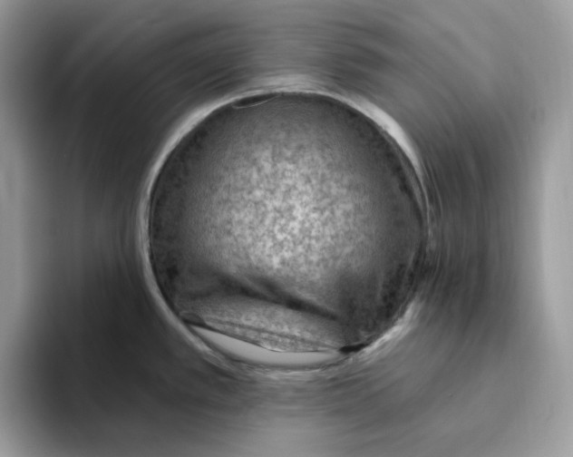 X0000093451389200711091504