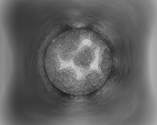 X0000093451393200711091504