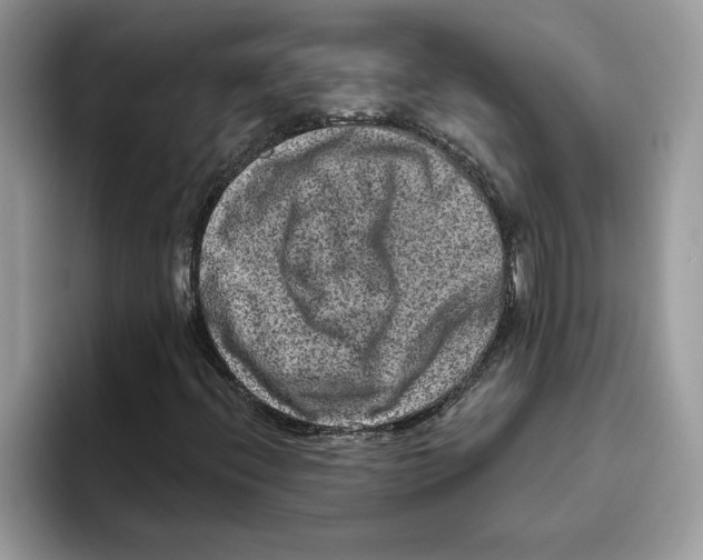 X0000093451396200711091504