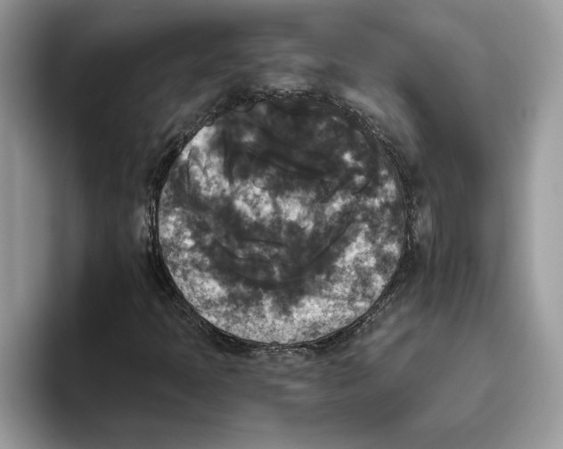 X0000093451397200711091504