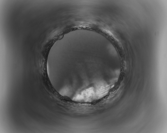 X0000093451399200711091504