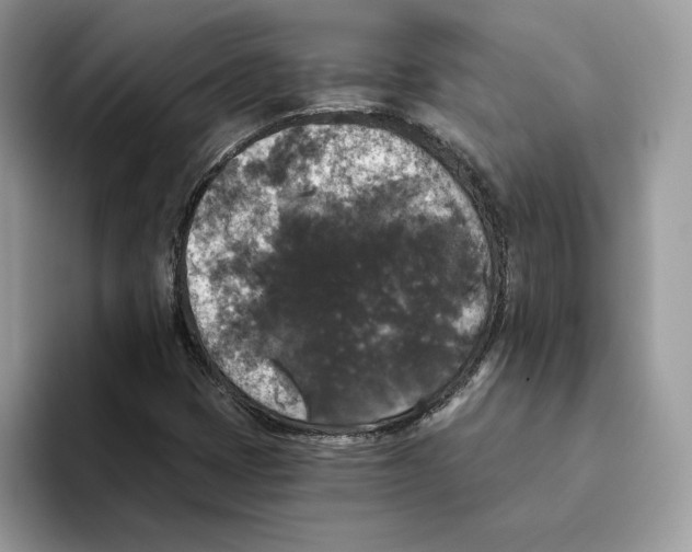 X0000093451401200711091504