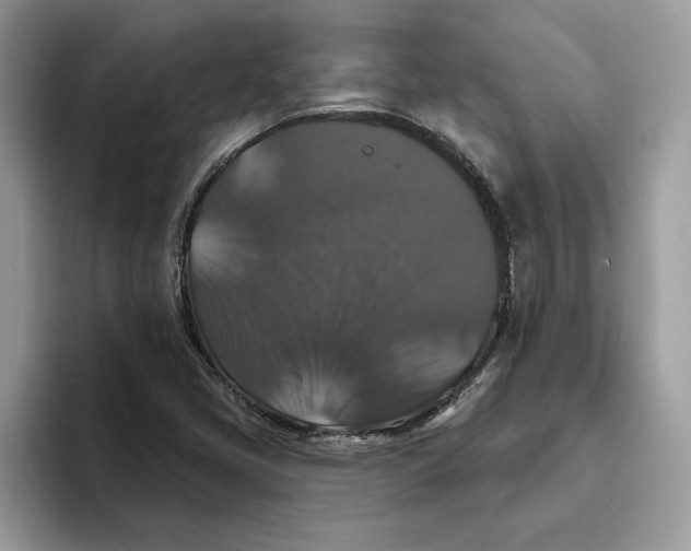 X0000093451405200711091504