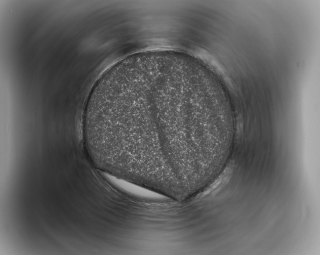 X0000093451409200711091504