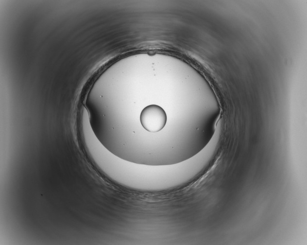 X0000093451410200711091504