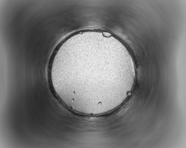 X0000093451412200711091504