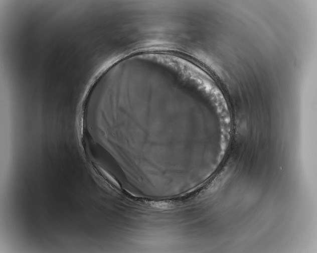 X0000093451413200711091504