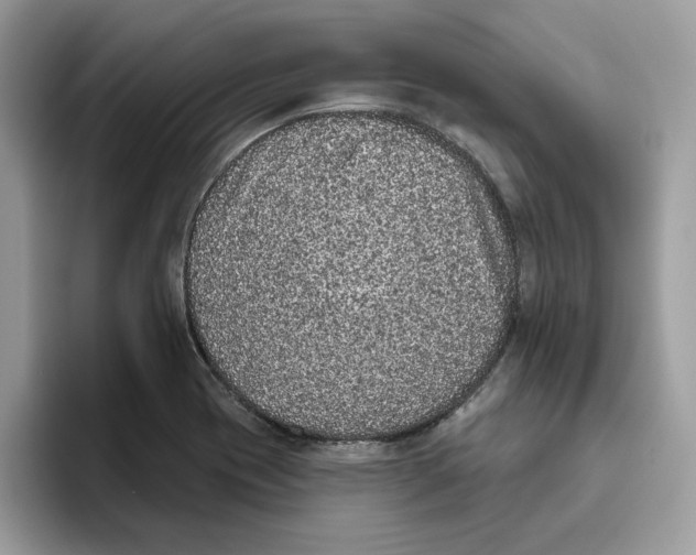 X0000093451417200711091504