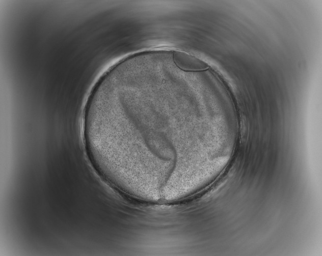 X0000093451424200711091504