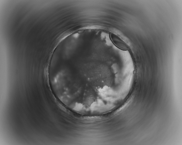 X0000093451425200711091504