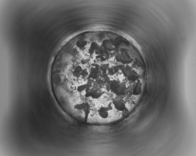 X0000093451429200711091504