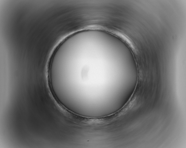 X0000093451430200711091504