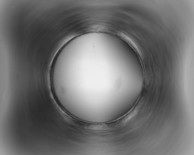 X0000093451434200711091504